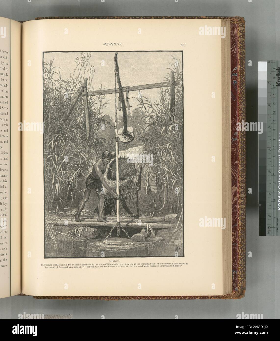 Shadûf le poids de l'eau dans le seau est équilibré par le morceau de boue du Nil à l'autre extrémité du faisceau oscillant, et l'eau est ainsi élevée à l'embouchure du canal avec le petit colonel Wilson, éd.; Shadûf. Le poids de l'eau dans le seau est équilibré par le morceau de boue du Nil à l'autre extrémité du faisceau oscillant, et l'eau est ainsi élevée à l'embouchure du canal avec peu d'effort; mais tirer le godet vers le bas est un travail difficile, et la machine est ruineusement extravagante dans le travail. Banque D'Images