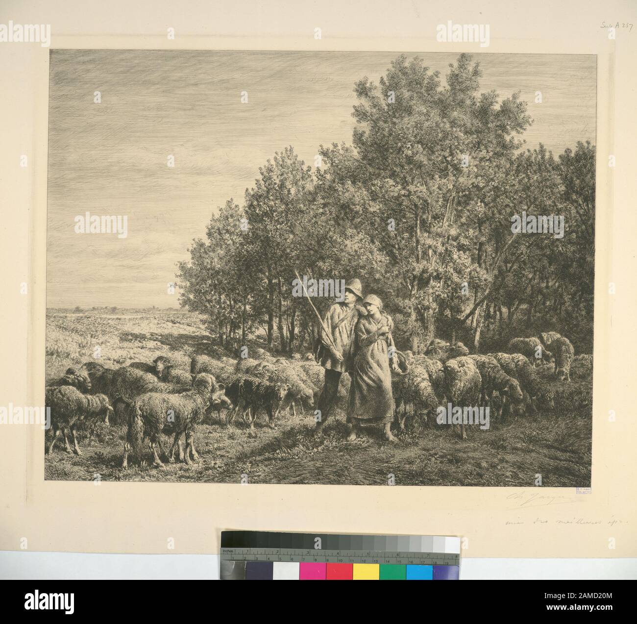 Berger et fille avec troupeau de moutons titres conçus par cataloguer. Fonds annotés dans une copie ministérielle de l'Oeuvre de ch. Jacque catalogue de ses eaux-forts et pointes pèches. Citation/référence: [SuppA257]; Berger et fille avec troupeau de moutons. Banque D'Images