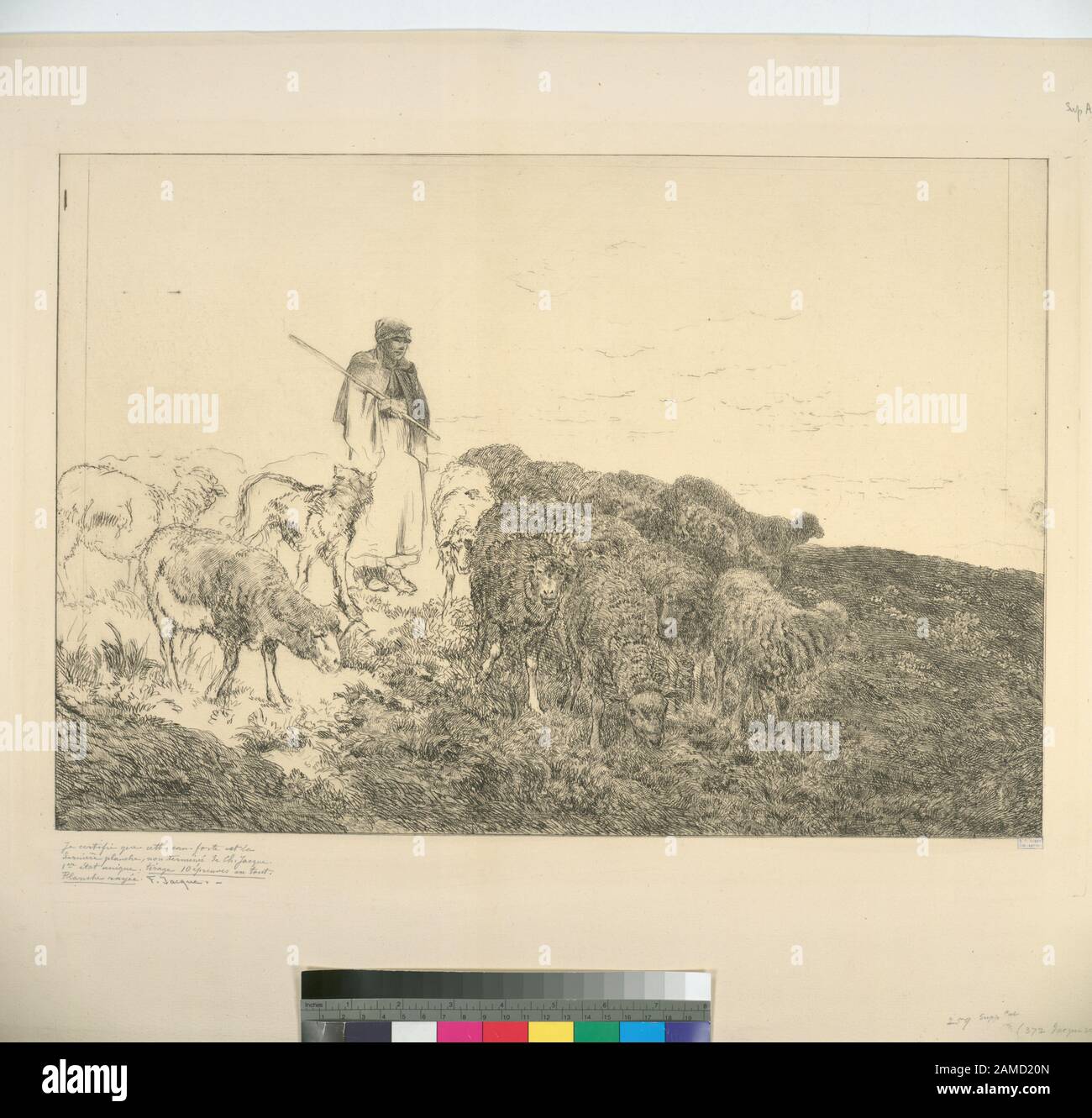 Berger et chien avec troupeau de moutons titres conçus par le catalogueur. Fonds annotés dans une copie ministérielle de l'Oeuvre de ch. Jacque catalogue de ses eaux-forts et pointes pèches. Citation/référence: [SuppA259]; Berger et chien avec troupeau de moutons. Banque D'Images