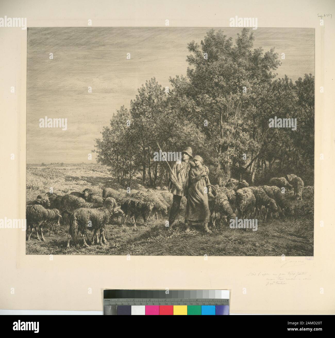 Berger et fille avec troupeau de moutons titres conçus par cataloguer. Fonds annotés dans une copie ministérielle de l'Oeuvre de ch. Jacque catalogue de ses eaux-forts et pointes pèches. Citation/référence: [SuppA257]; Berger et fille avec troupeau de moutons. Banque D'Images