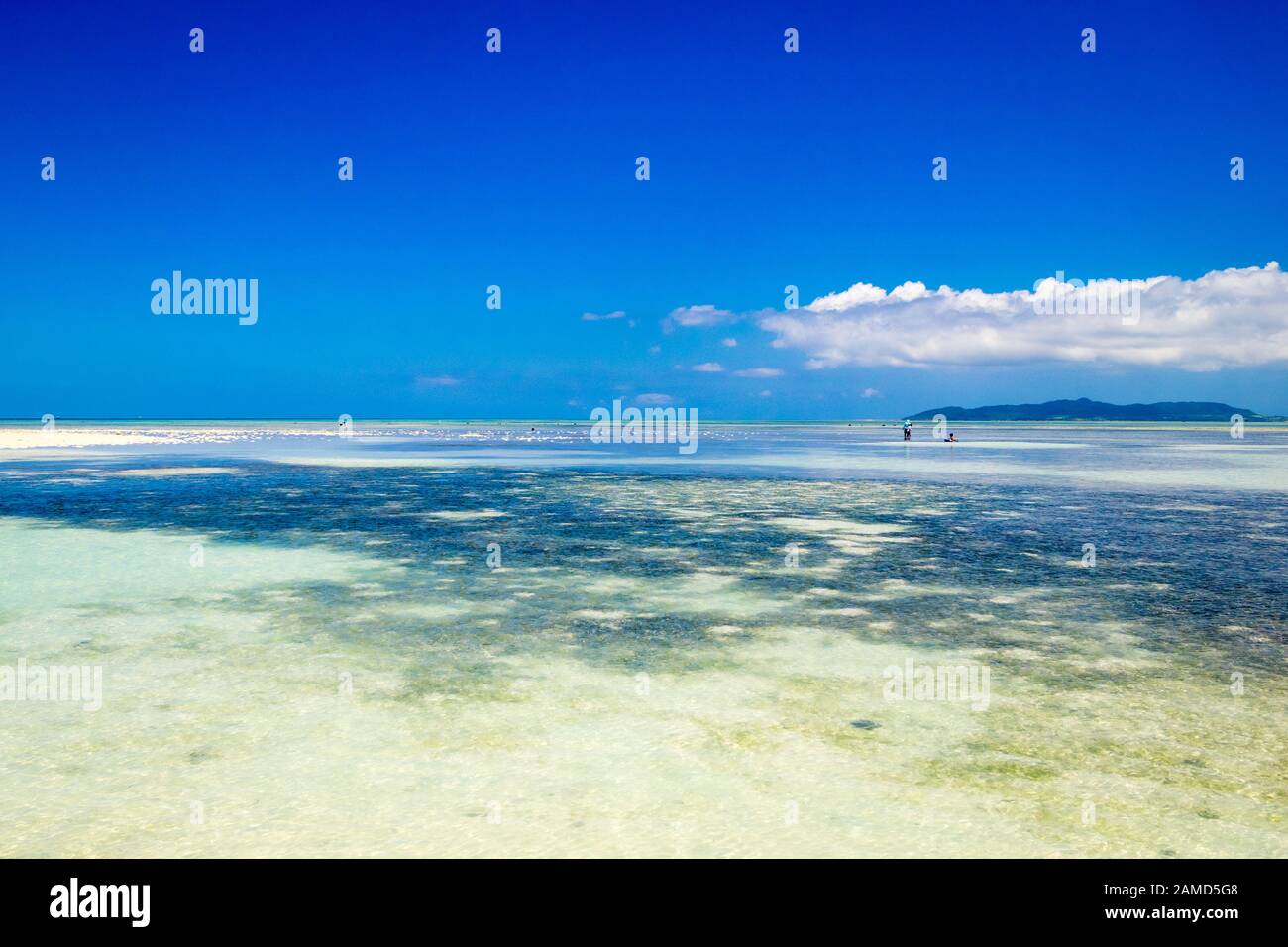 Spectaculaire sable de corail et eaux claires de la plage de Kondoi, de l'île Taketomi (Taketomi-jima), des îles Yaeyama, préfecture d'Okinawa, Japon. Banque D'Images