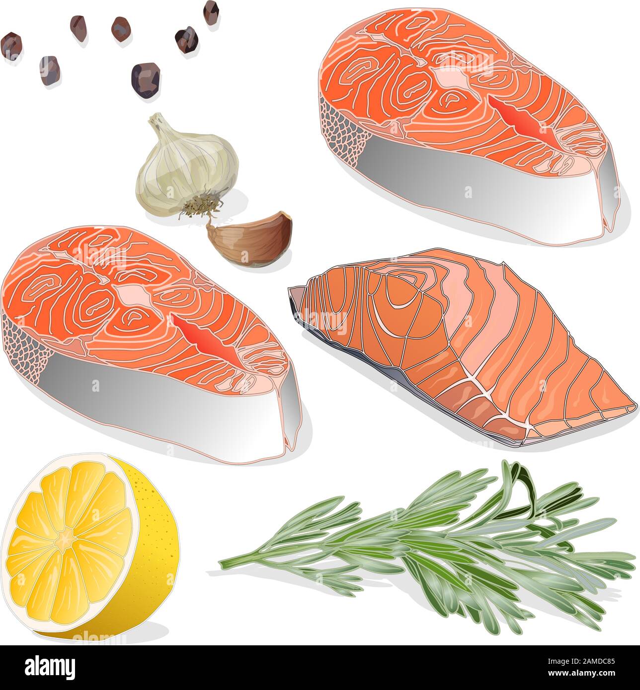 Filets de saumon crus aux herbes sur fond blanc. Illustration vectorielle. Illustration de Vecteur