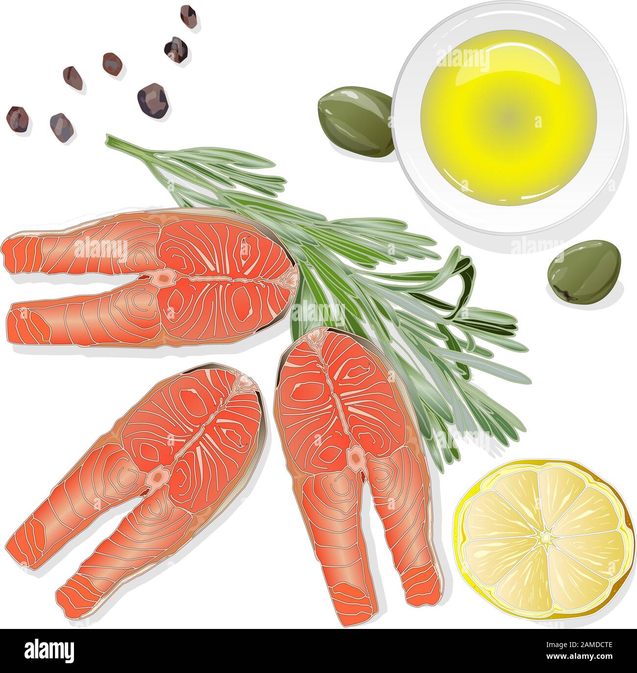 Filets de saumon crus aux herbes sur fond blanc. Illustration vectorielle. Illustration de Vecteur