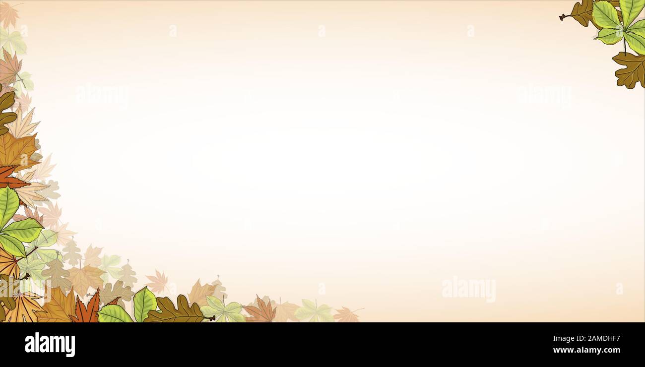 Illustration vectorielle de la composition d'automne. Cadre en feuilles séchées colorées. Automne, concept d'automne.vue sur le dessus, plat. Illustration de Vecteur