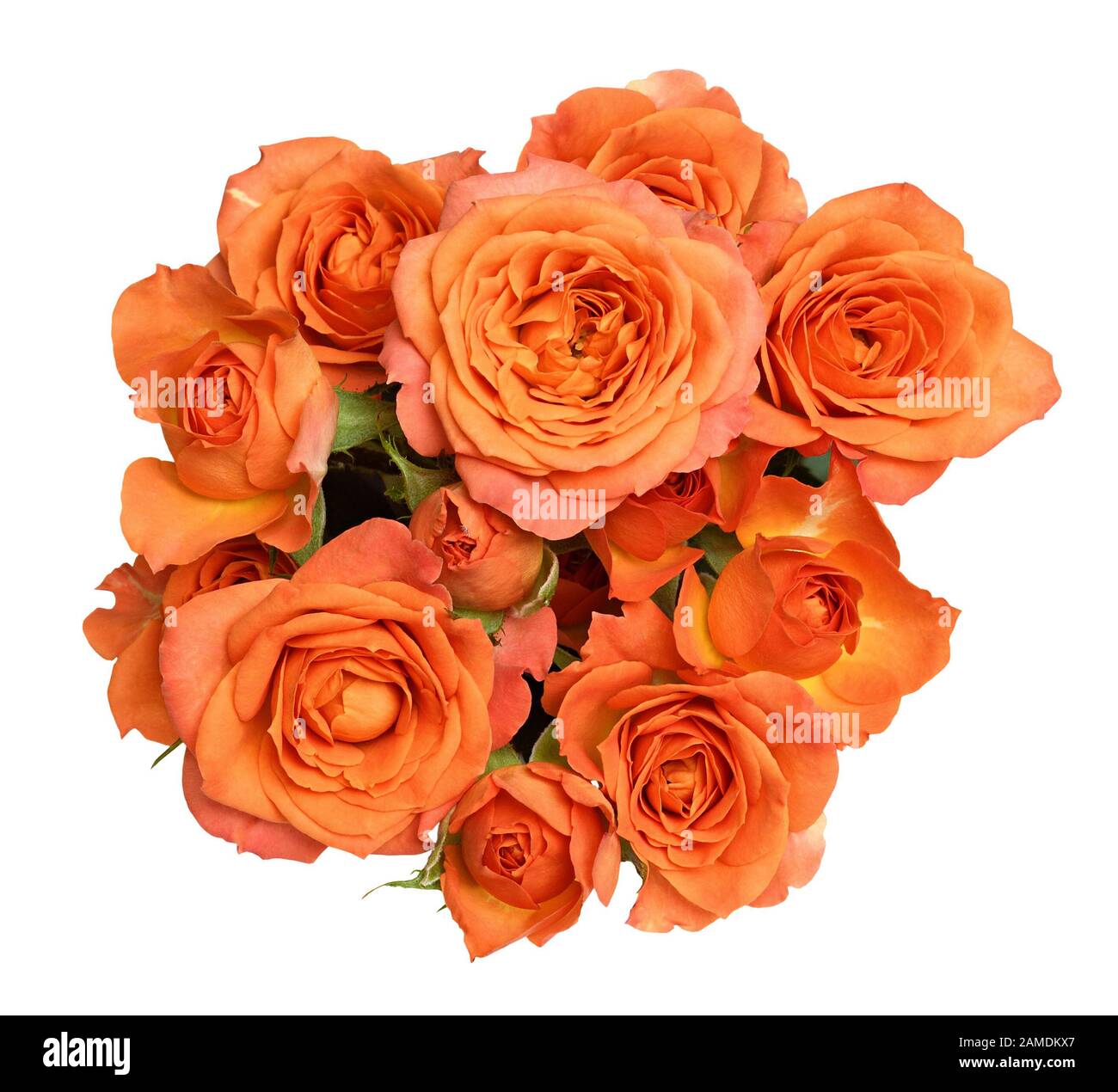 Bouquet de fleurs de rose orange Banque de photographies et d'images à  haute résolution - Alamy