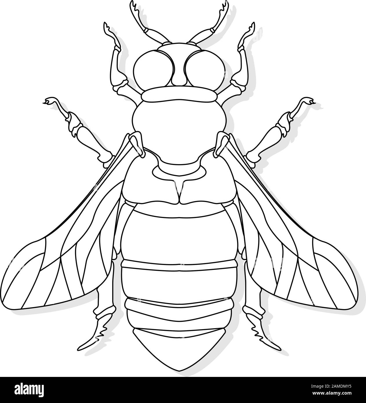Illustration vectorielle de l'abeille de miel sur fond blanc. Image colorante. Illustration de Vecteur