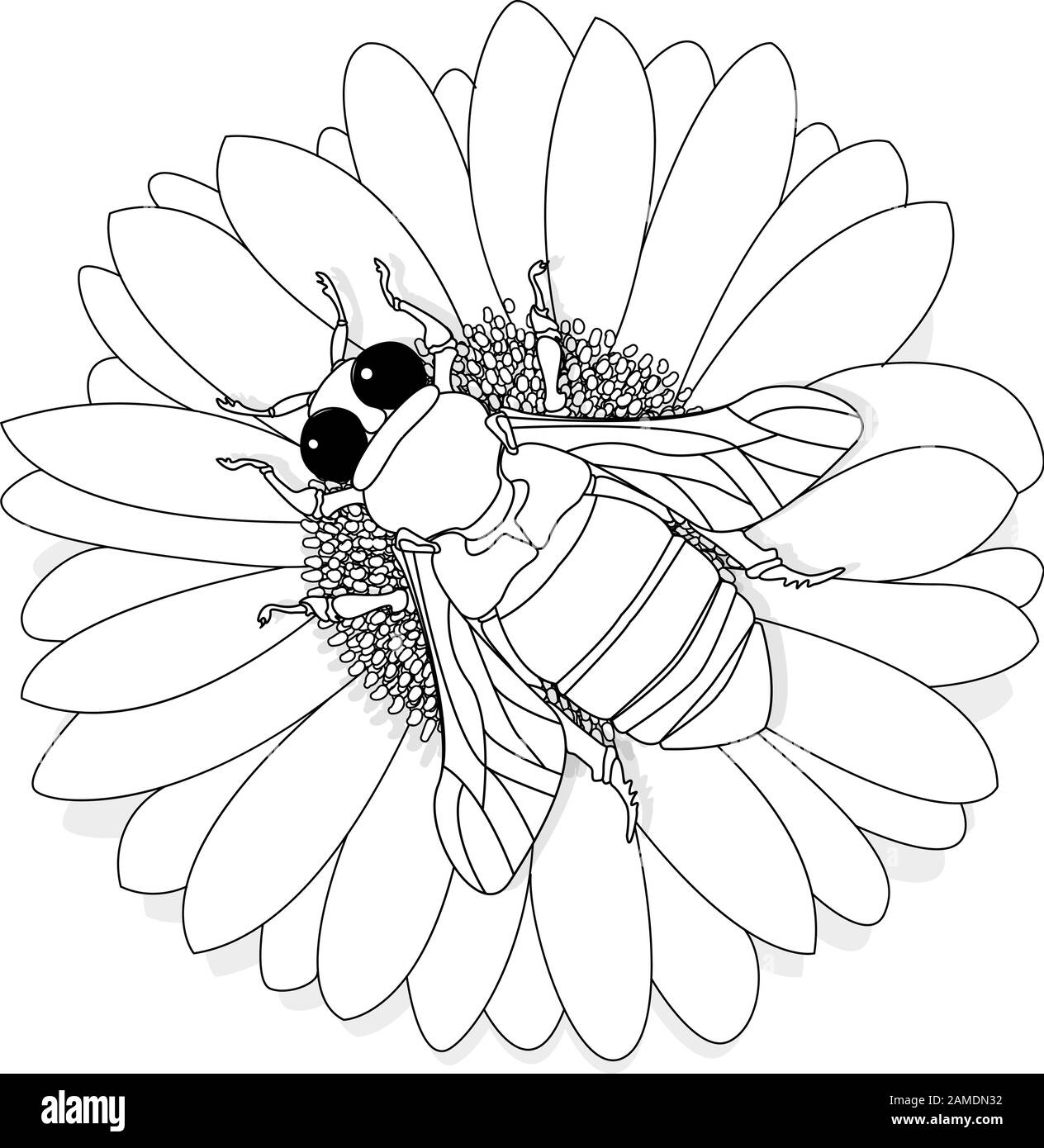 Illustration vectorielle de l'abeille de miel sur fond blanc. Image colorante. Illustration de Vecteur