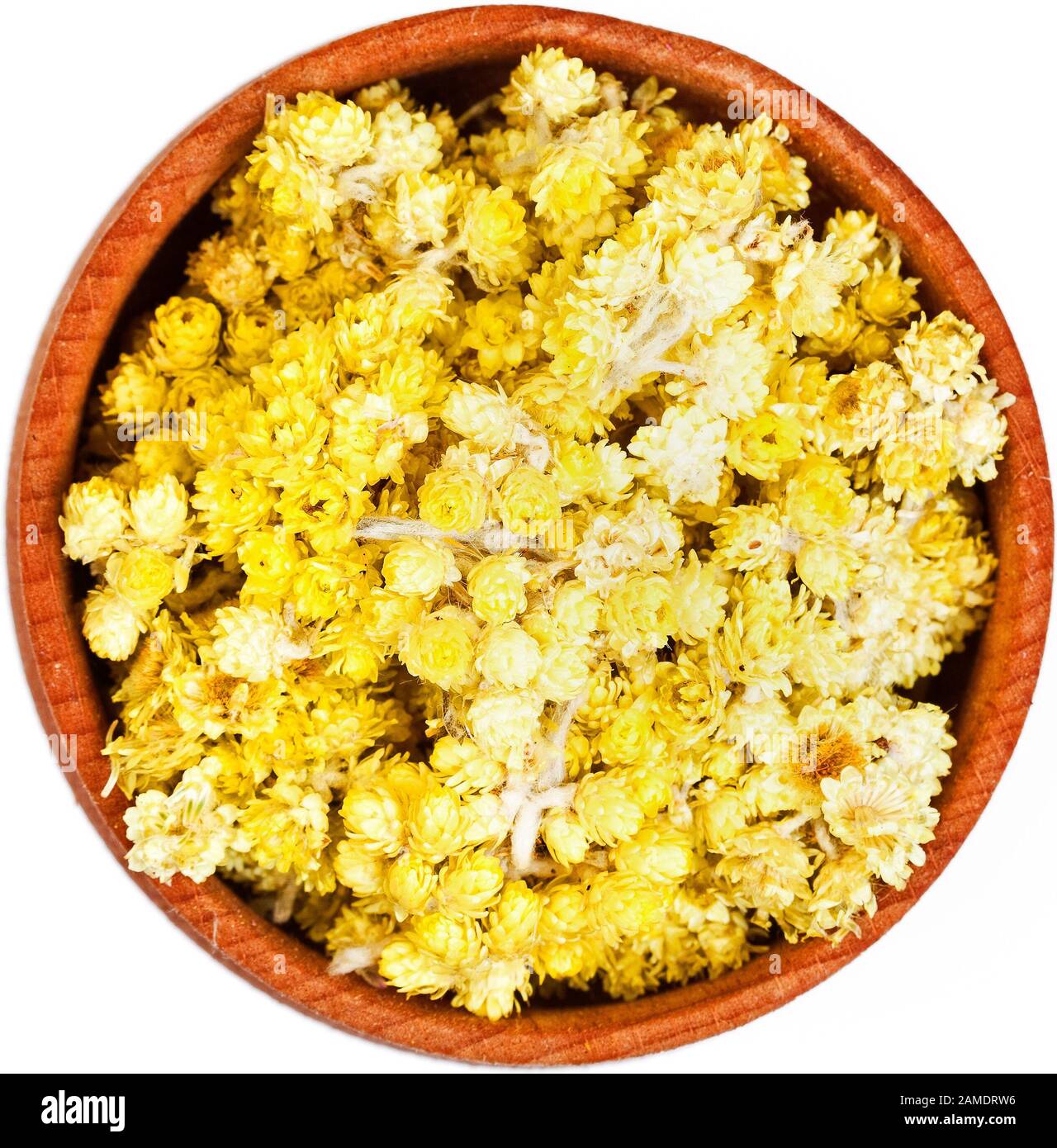 Helichrysum fleurs dans un petit noeud en bois isolé sur blanc. Banque D'Images