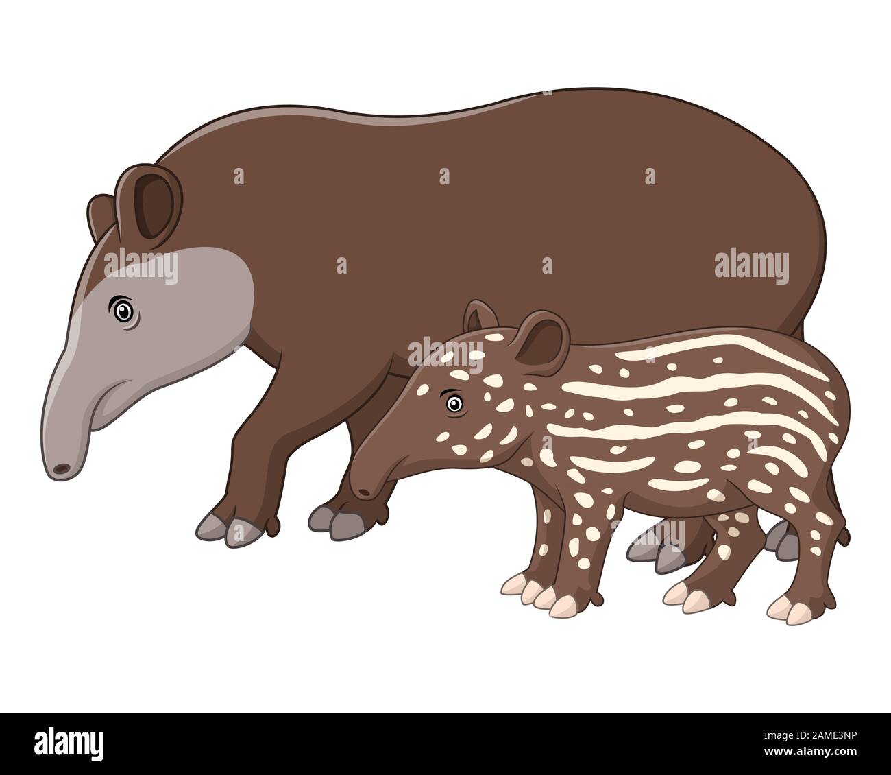 Mère et bébé tapir Illustration de Vecteur