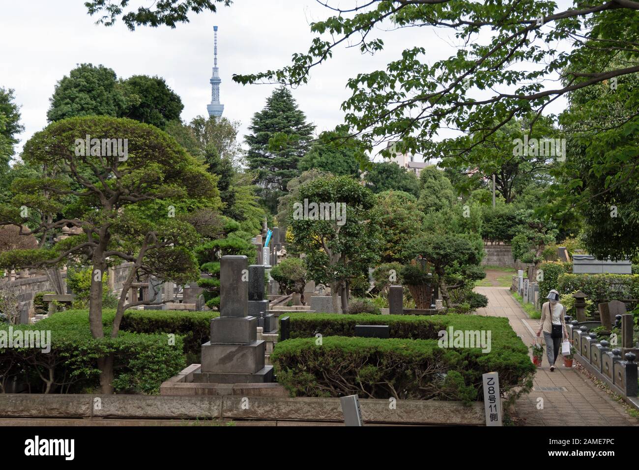 Cimetière de Yanaka à Tokyo, Japon, Asie. Vieux cimetière japonais avec tombes et tombes. Tour Skytree en arrière-plan Banque D'Images