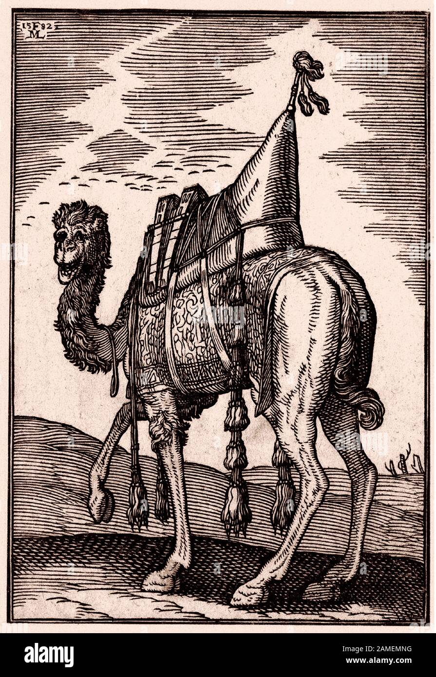 L'histoire de l'Empire ottoman. Un chameau avec une riche selle ornée. Par Melchior Lorck. xvie siècle Banque D'Images