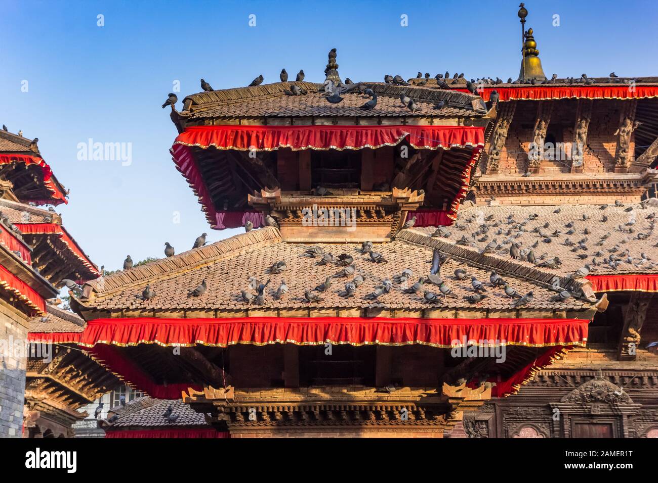 De nombreux pigeons sur les toits du temple sur la place Durbar à Katmandou, au Népal Banque D'Images
