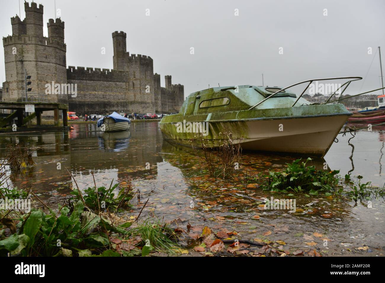 Château De Caernarfon, Pays De Galles Du Nord. Royaume-Uni Banque D'Images