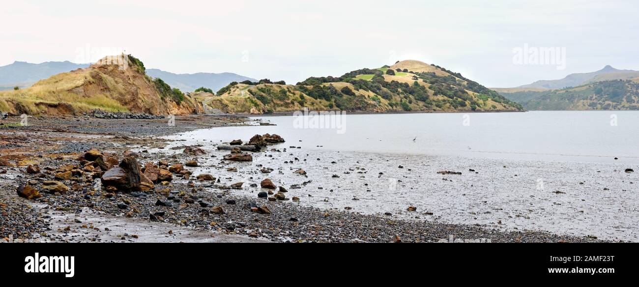 Onawe Peninsula Est Un Bouchon De Cratère Volcanique Dans Le Port D'Akaroa, Canterbury, Nouvelle-Zélande. Banque D'Images