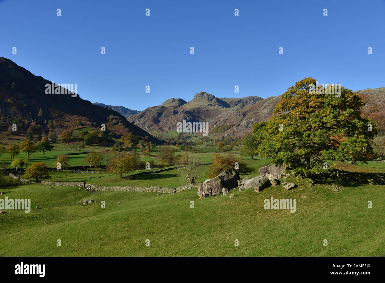 Les Langdale Pikes et les Langdale Boulders, au Royaume-Uni Banque D'Images