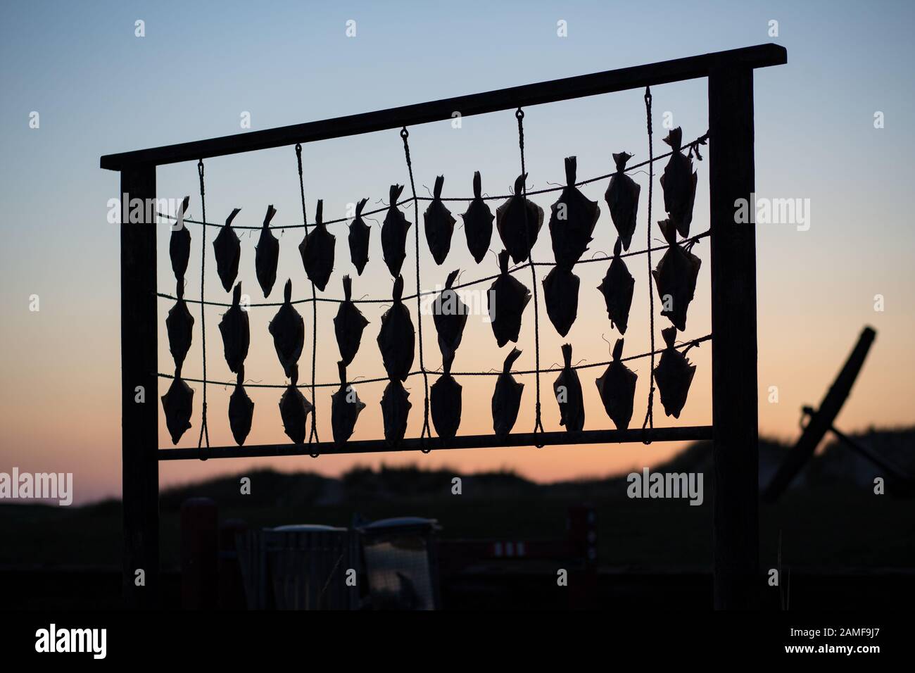 Fish hanging à sécher à beach au Danemark Banque D'Images