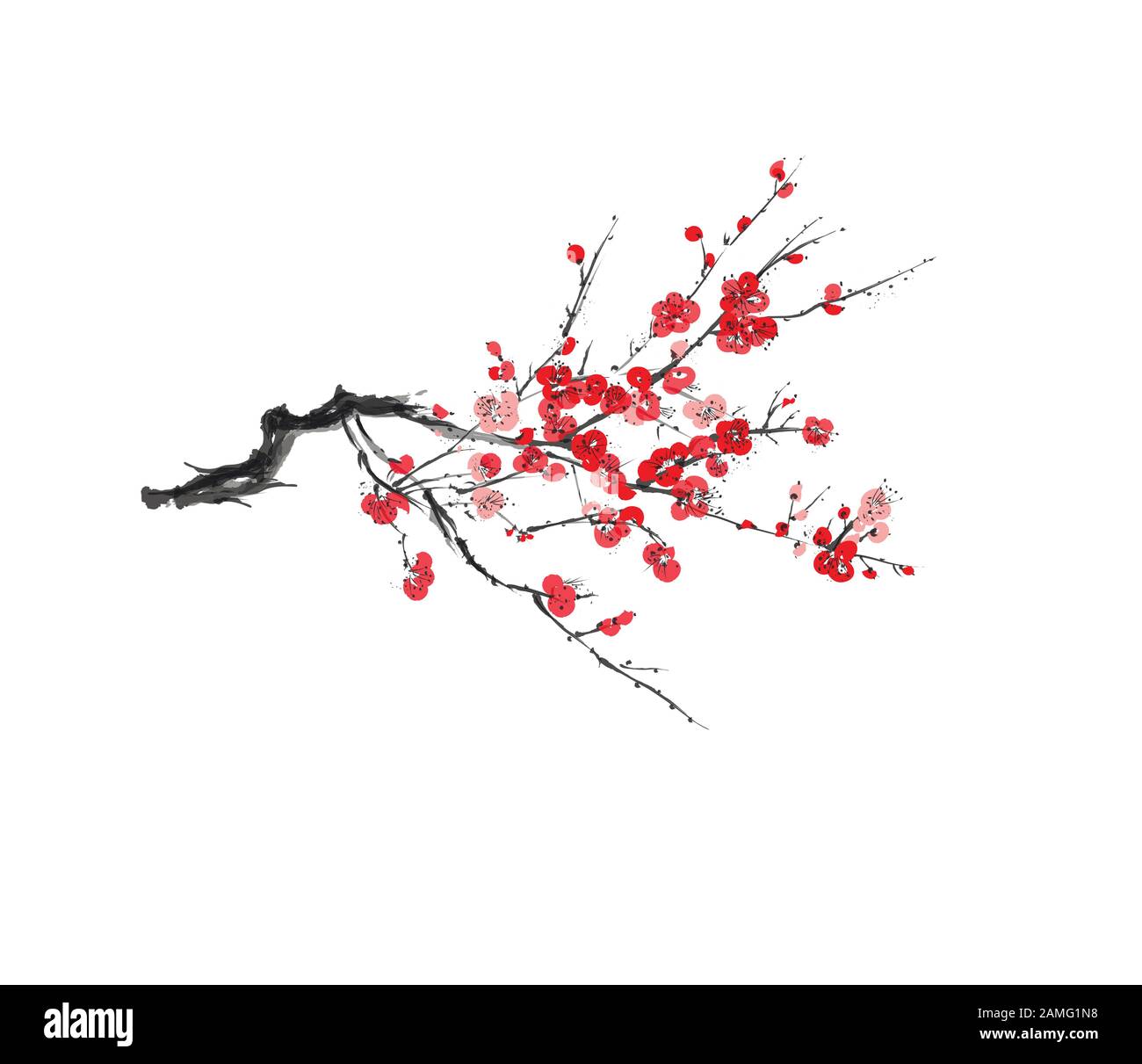 Fleurs de sakura réalistes - cerisier japonais isolé sur fond blanc - illustration vectorielle Illustration de Vecteur