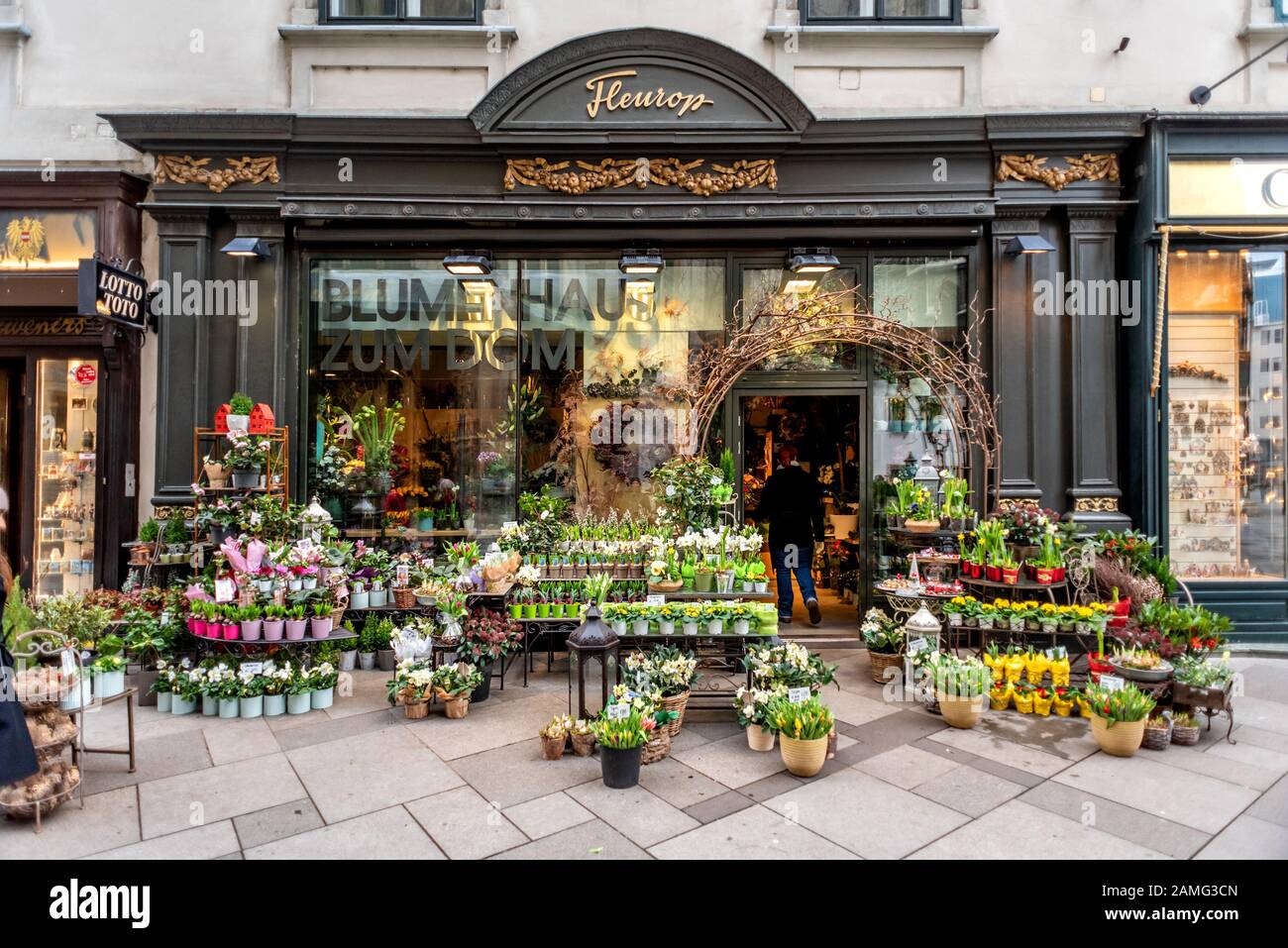 Viennese alps Banque de photographies et d’images à haute résolution