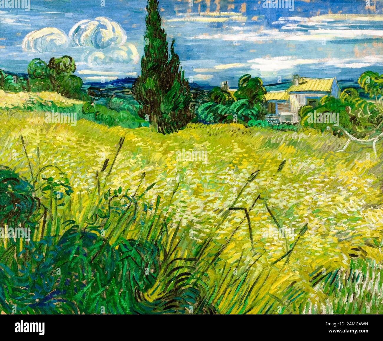Vincent Van Gogh, champ de blé vert avec Cypress, peinture de paysage, 1889 Banque D'Images
