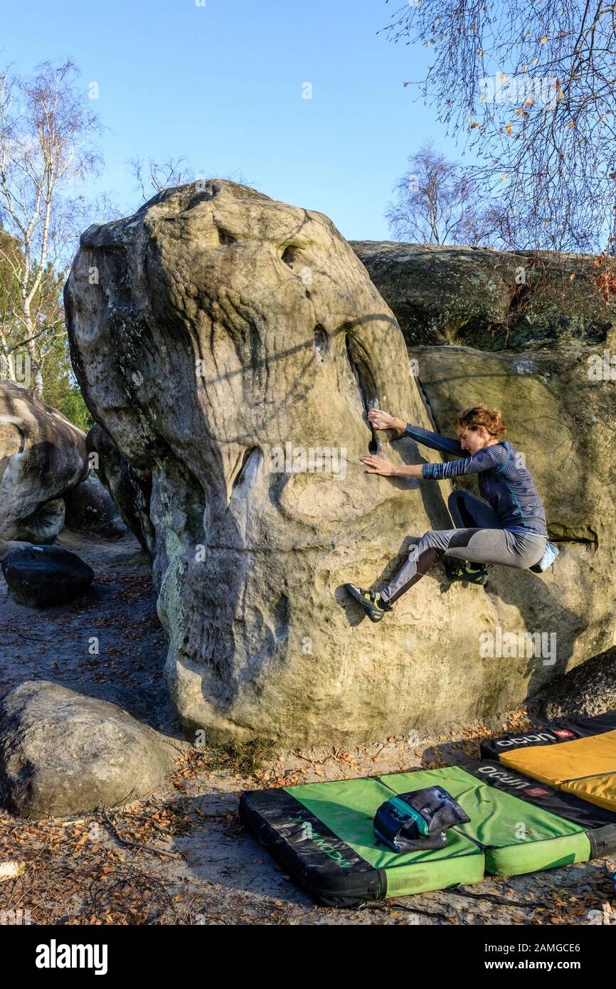 France, Seine et Marne, Noisy sur Ecole, Forêt de Fontainebleau, réserve de biosphère de Fontainebleau et de Gatinais par l'UNESCO, les Sables du Cul de chien en A. Banque D'Images