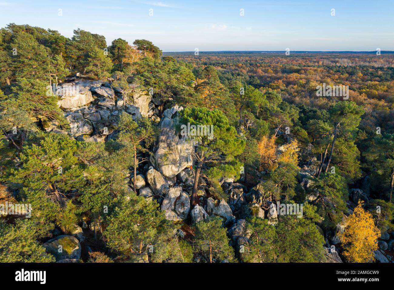 France, Seine et Marne, Larchant, Forêt de Fontainebleau, réserve de biosphère de Fontainebleau et de Gatinais par l'UNESCO, site du Rocher de Dame Jouanne // Fra Banque D'Images