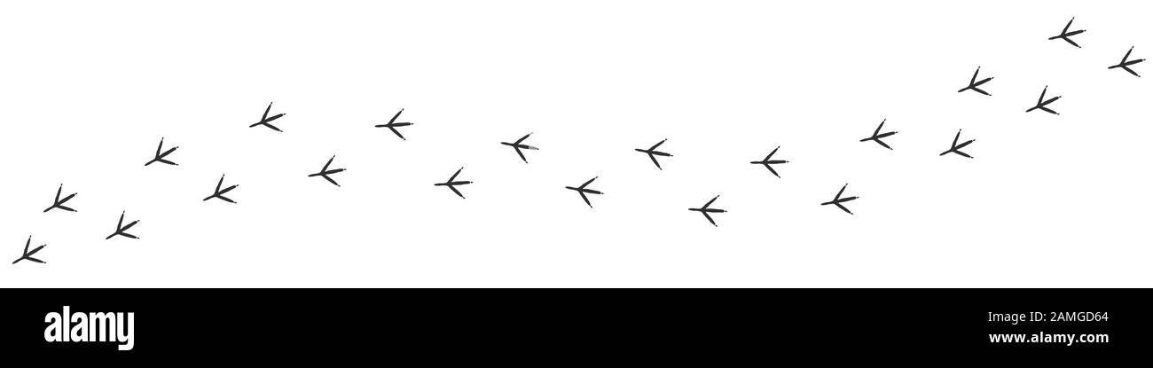 Sentier de sentier de canard Illustration de Vecteur