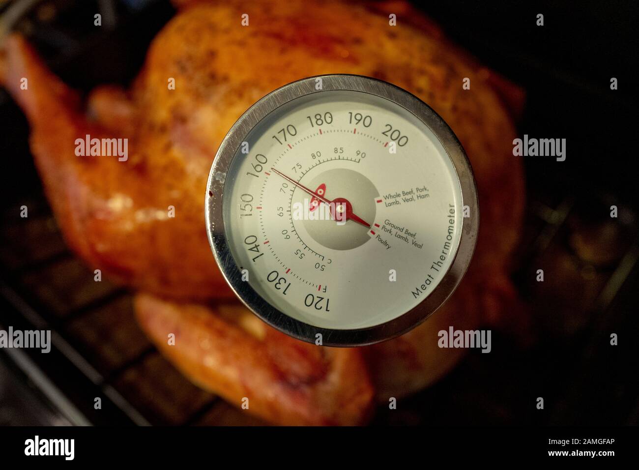 Gros plan du thermomètre à viande en dinde cuite, montrant une température interne sûre pour la volaille, pendant la préparation d'un repas de vacances américain traditionnel de Thanksgiving, San Ramon, Californie, 23 novembre 2019. () Banque D'Images