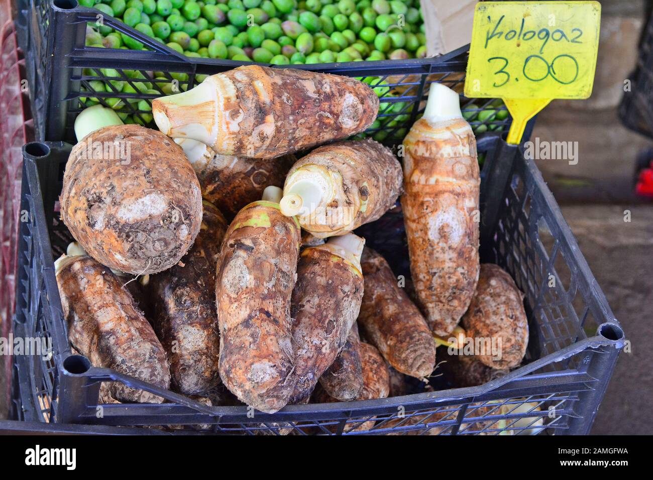 Chypre, Nicosie, Kolokas - genre de légumes Banque D'Images