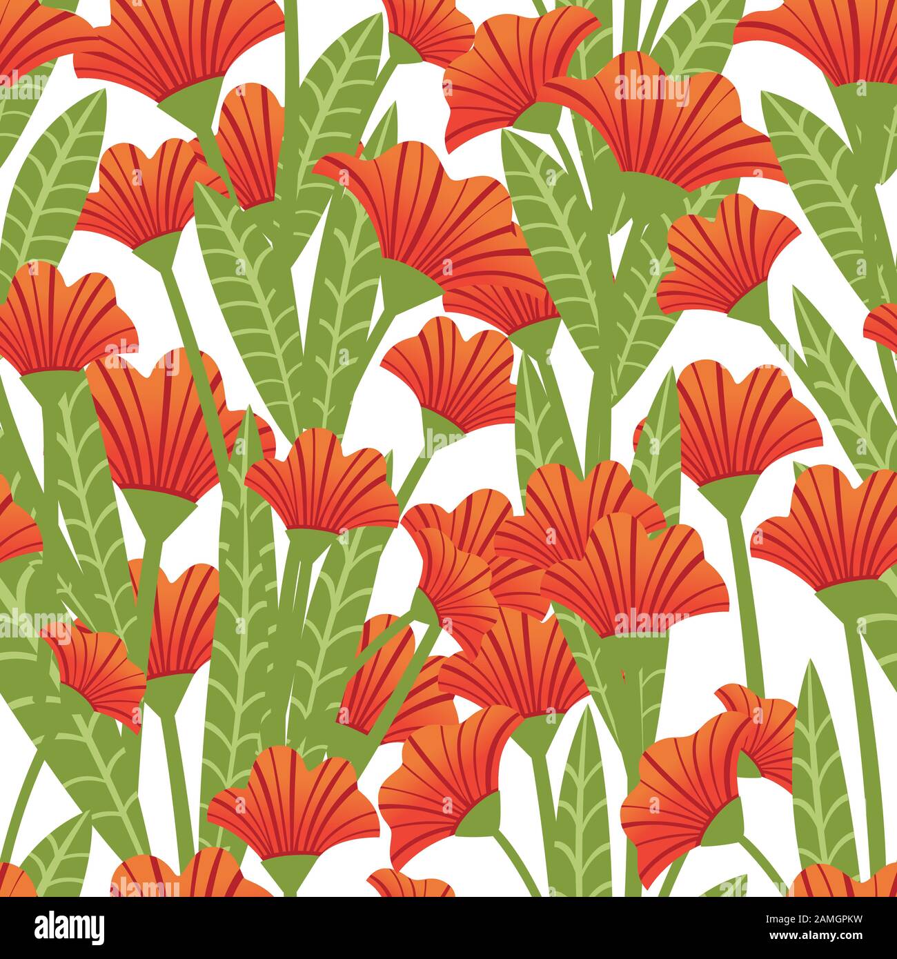 Les coquelicots rouges à motif sans couture plantent de fleurs rouges illustration vectorielle plate sur fond blanc. Illustration de Vecteur