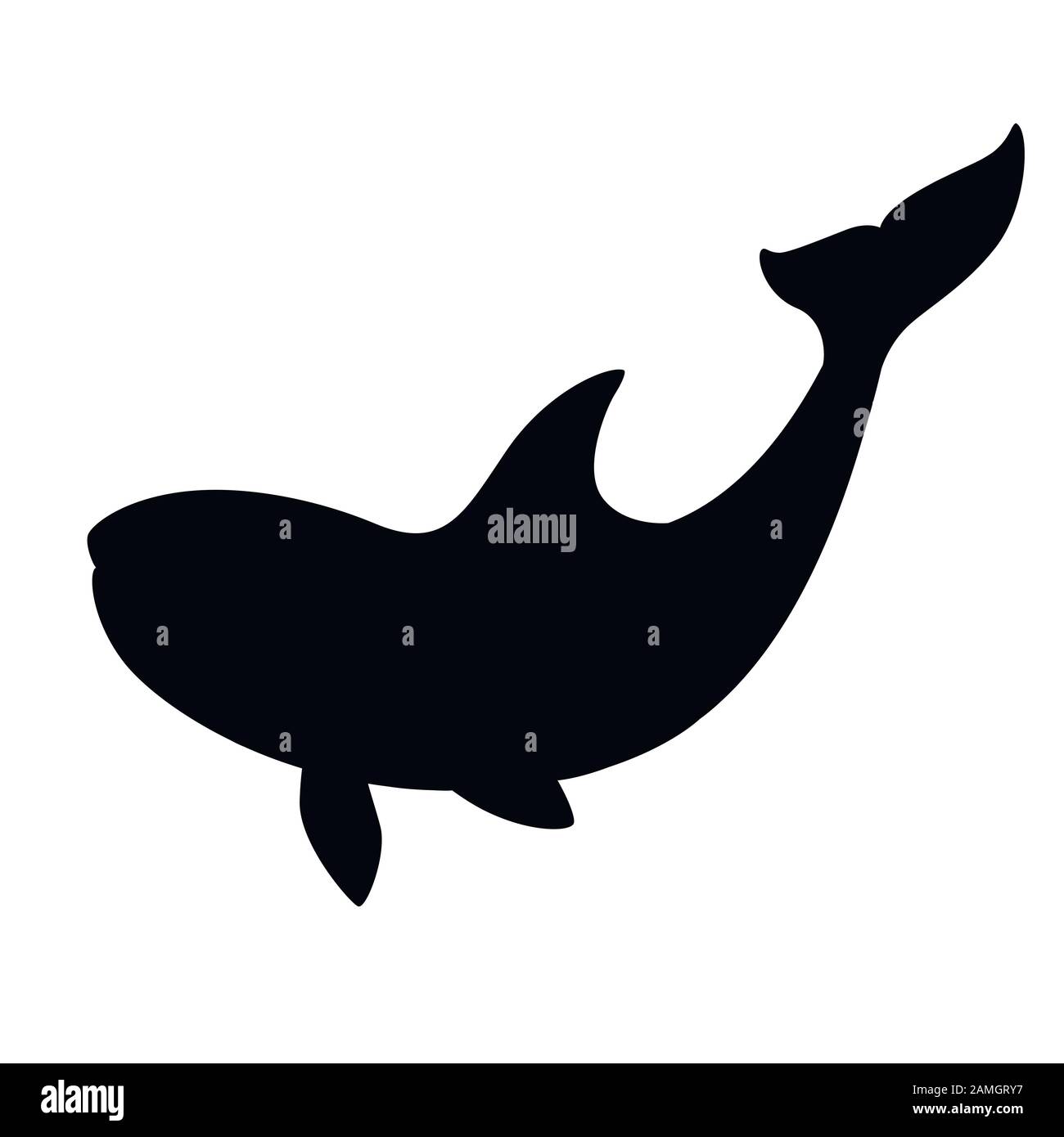 Épaulard à silhouette noire (Orcinus orca) dessin d'animal dessin d'animal de l'océan mammifère orca plate illustration vectorielle isolée sur fond blanc. Illustration de Vecteur