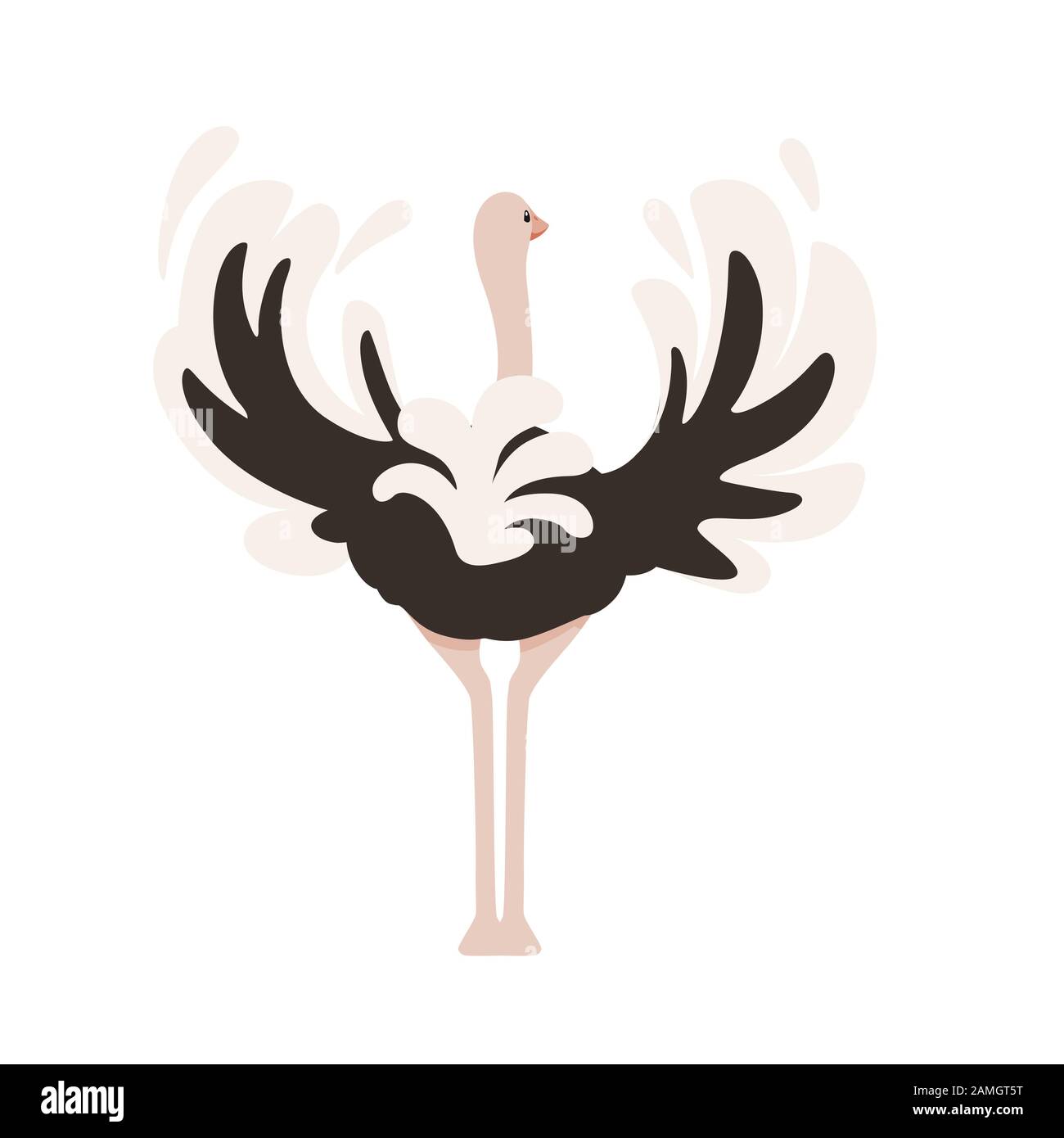 Mignonne autruche rester sur deux jambes afrique sans flightless oiseau caricature animal design plate illustration vectorielle isolée sur fond blanc. Illustration de Vecteur