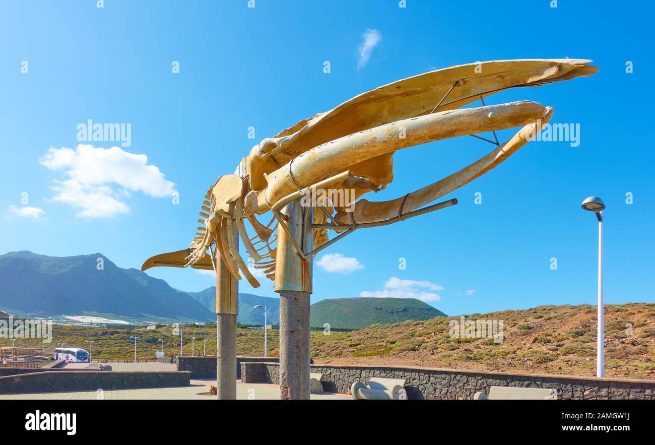 Los Silos, Tenerife, Espagne - 10 décembre 2019: Squelette d'une Baleine de Soi sur la promenade sur la côte à Los Silos, Les îles Canaries Banque D'Images