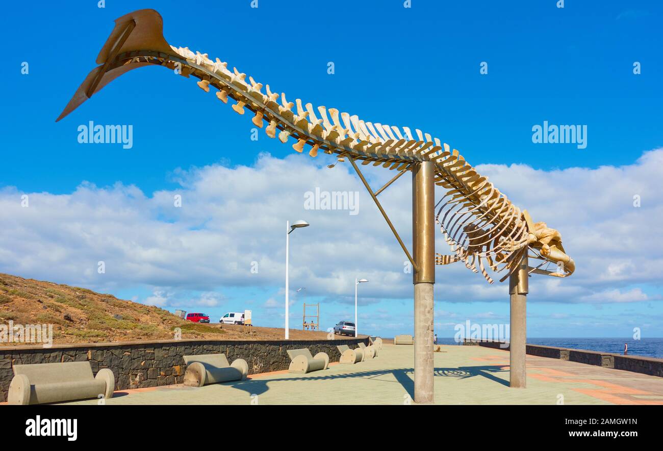 Los Silos, Tenerife, Espagne - 10 décembre 2019: Squelette d'une Baleine de Soi sur la côte à Los Silos, Les Canaries Banque D'Images
