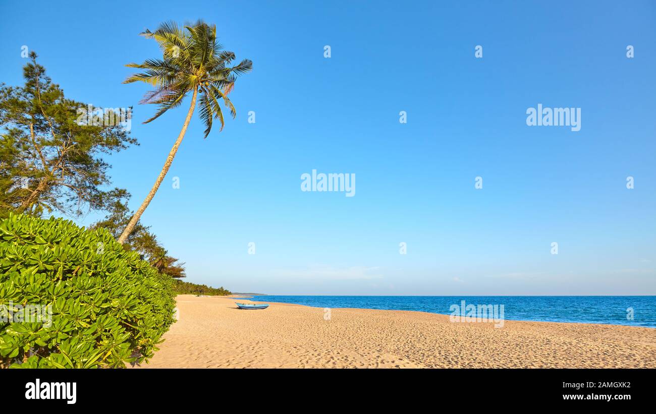 Plage tropicale avec ciel sans nuages, Sri Lanka. Banque D'Images