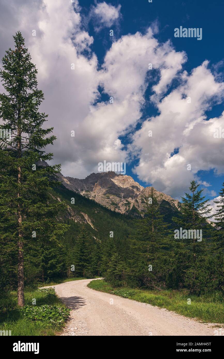 Chemin forestier dans les Dolomites, Val Fiscalina Banque D'Images