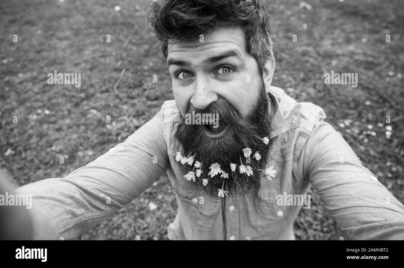 Concept de beauté naturelle. Hipster sur le visage heureux se trouve sur l'herbe, défocused. L'homme avec barbe aime le printemps, le vert pré fond. Guy avec des fleurs de celandine moindre dans la barbe prenant la photo de selfie. Banque D'Images