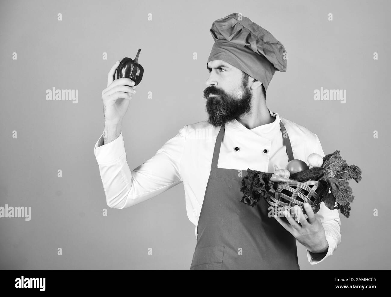 Cuire avec un visage sérieux en bordeaux regarde les légumes de maintien du poivre dans un bol en osier. Le chef tient de la laitue, de la tomate, du piment et des champignons. Concept de régime végétarien. Homme avec barbe sur fond rouge Banque D'Images