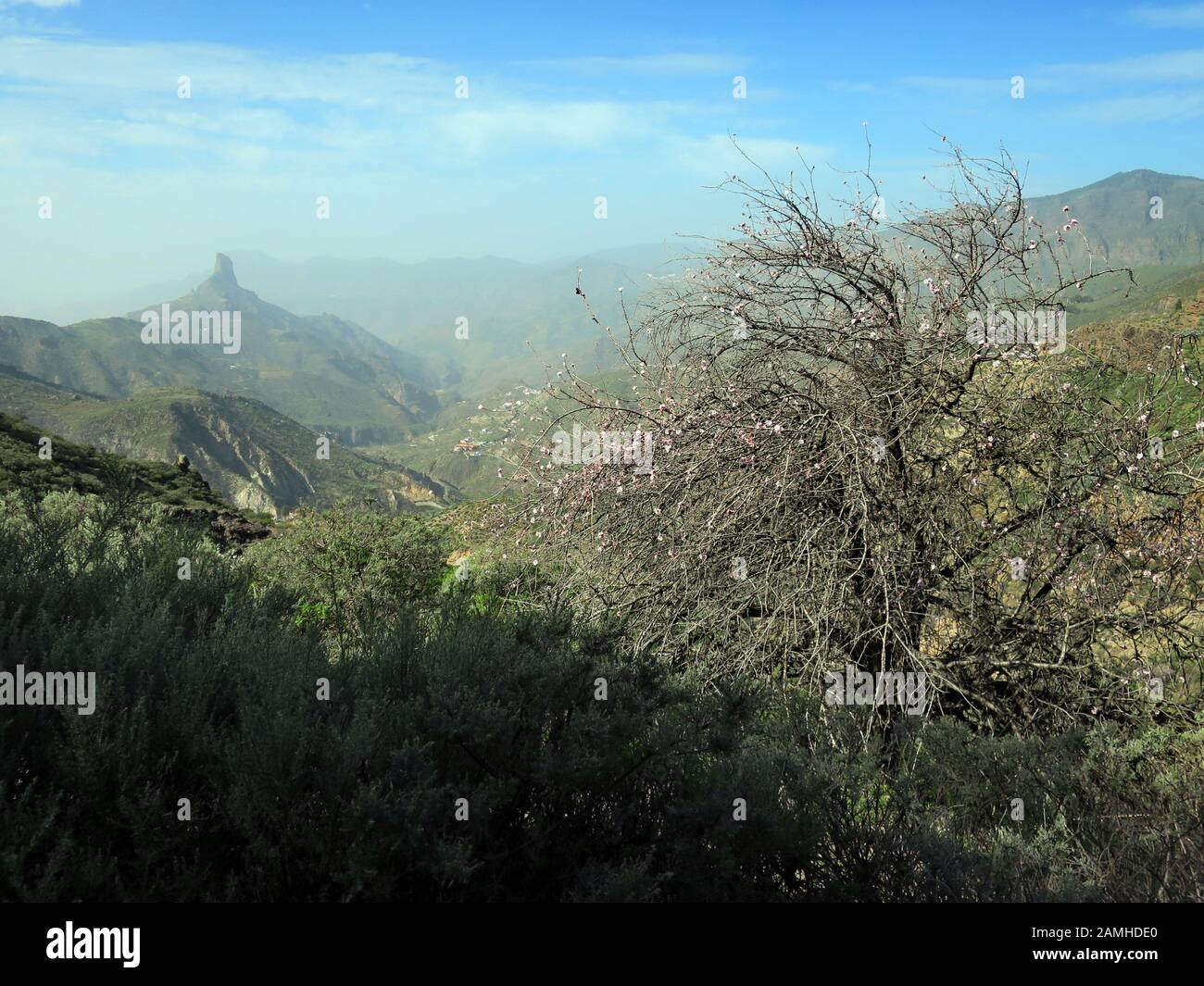 Wanderung vom Cruz Lanos de la Pez nach la Culata, Tejeda, Gran Canaria, Kanaren, espagnol Banque D'Images