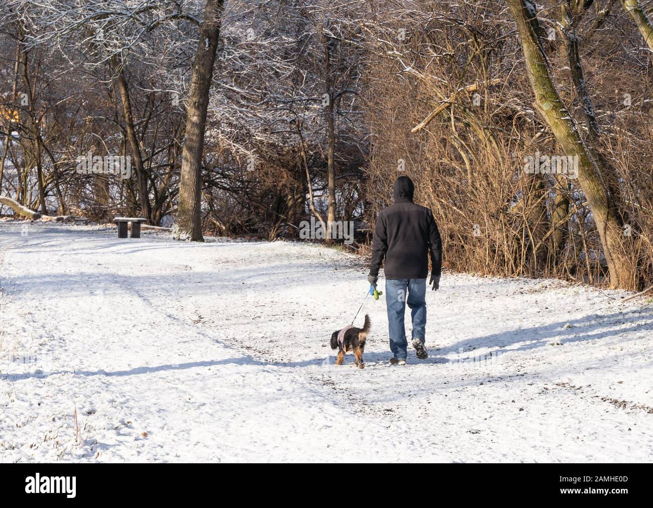 L'homme prend le chien dans le parc après une neige, de retour à la caméra. Banque D'Images