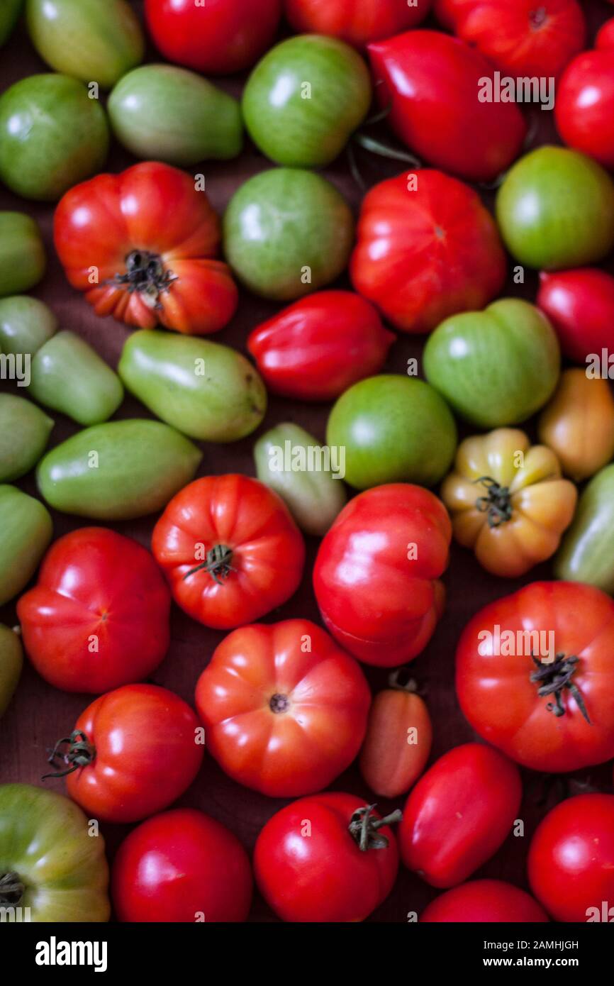 Homegrown tomatoes Banque D'Images