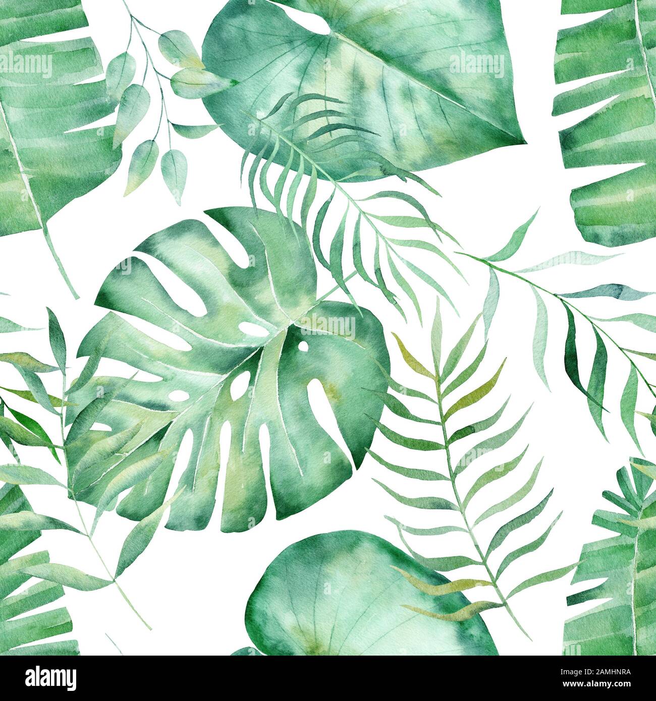 Monstera fern et les feuilles d'eucalyptus dessinés à la main schéma sans couture illustration. Décor de plantes tropicales à la mode.forêt de jungle, t exotique botanique Banque D'Images