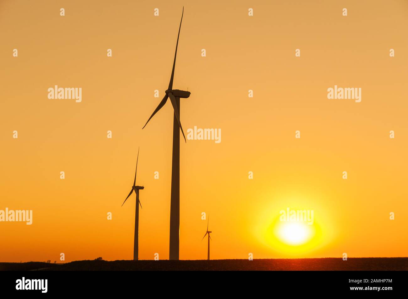 Silhouette d'un grand parc d'éoliennes au coucher du soleil, Dexter, Minnesota, États-Unis Banque D'Images