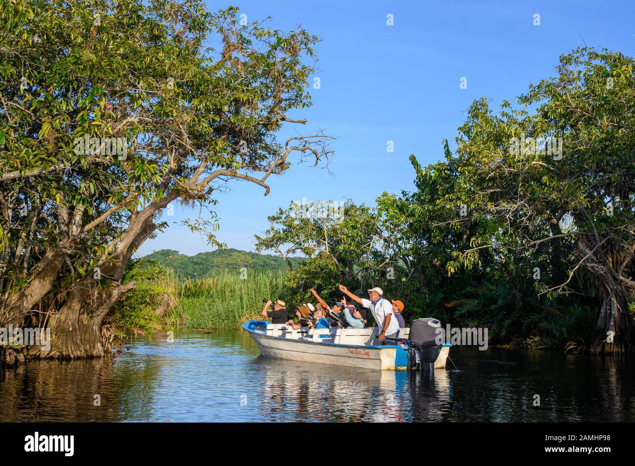 Visite Des Oiseaux Du Parc National De La Tovara Près De San Blas; Riviera Nayarit, Mexique. Banque D'Images