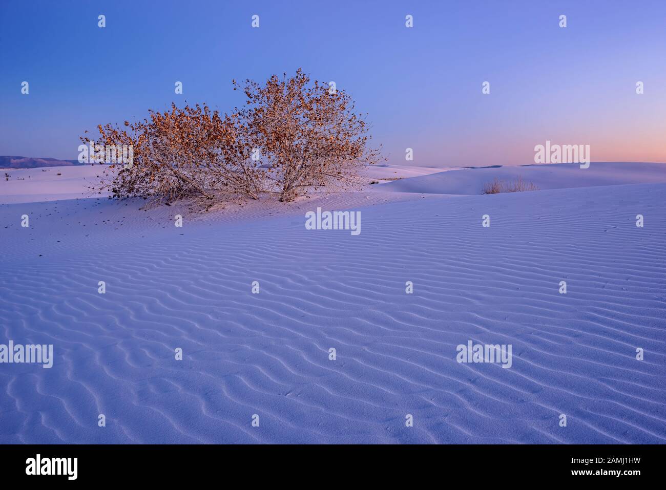 Crépuscule sur les dunes au parc national de White Sands, Nouveau-Mexique. Banque D'Images