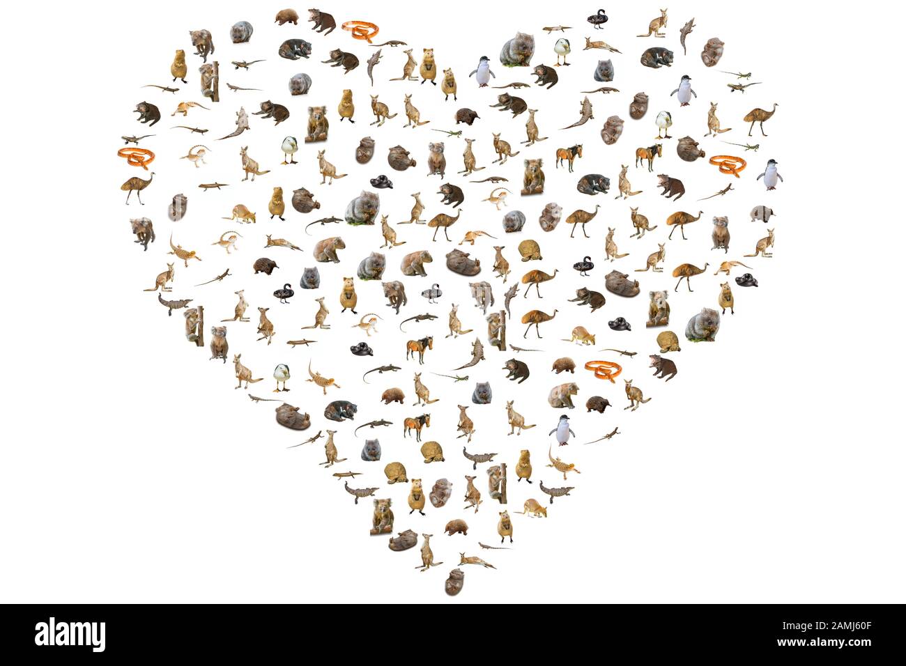 Animaux australiens en forme de coeur. Animaux Sauvages : Emu, Echidna, Diable De Tasmanie, Wombat, Kangaroo, Wallaby Et Penguin, Ducks, Lézards De Snakes Et Banque D'Images