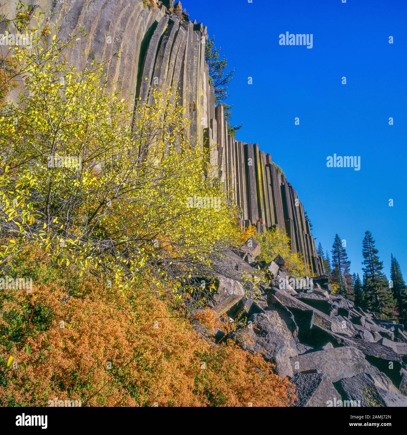 Monument National De DeviL'S Postpile, Inyo National Forest, Eastern Sierra, Californie Banque D'Images