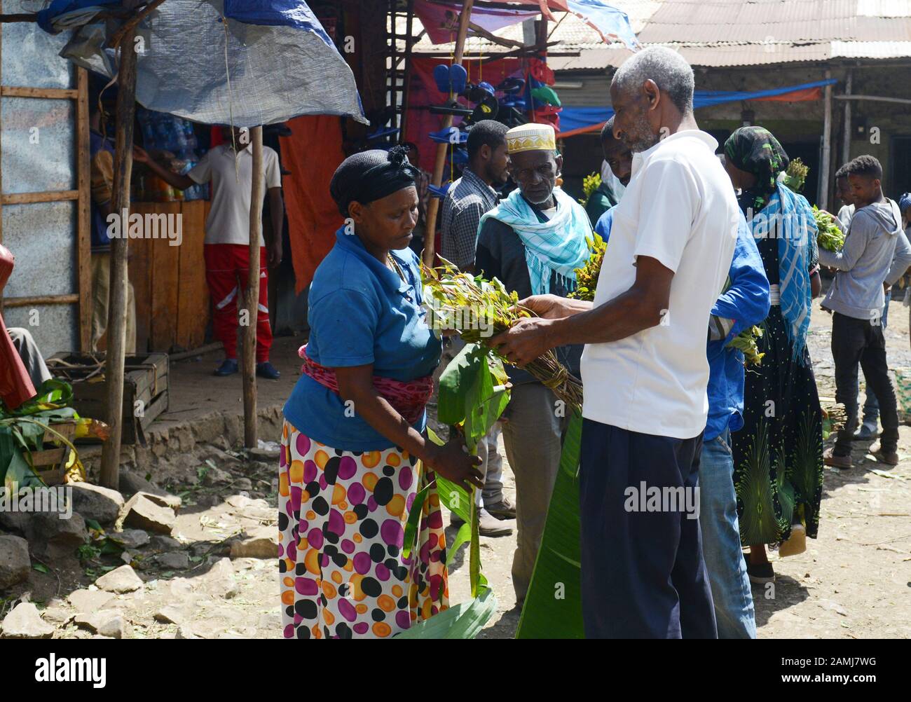 Marché de khat dans Woliso, Éthiopie. Banque D'Images