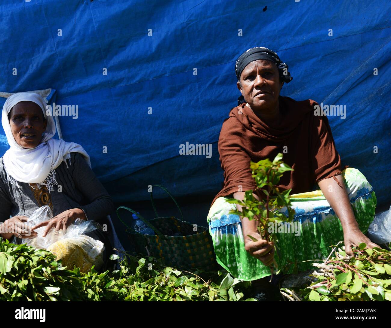 Marché de khat dans Woliso, Éthiopie. Banque D'Images