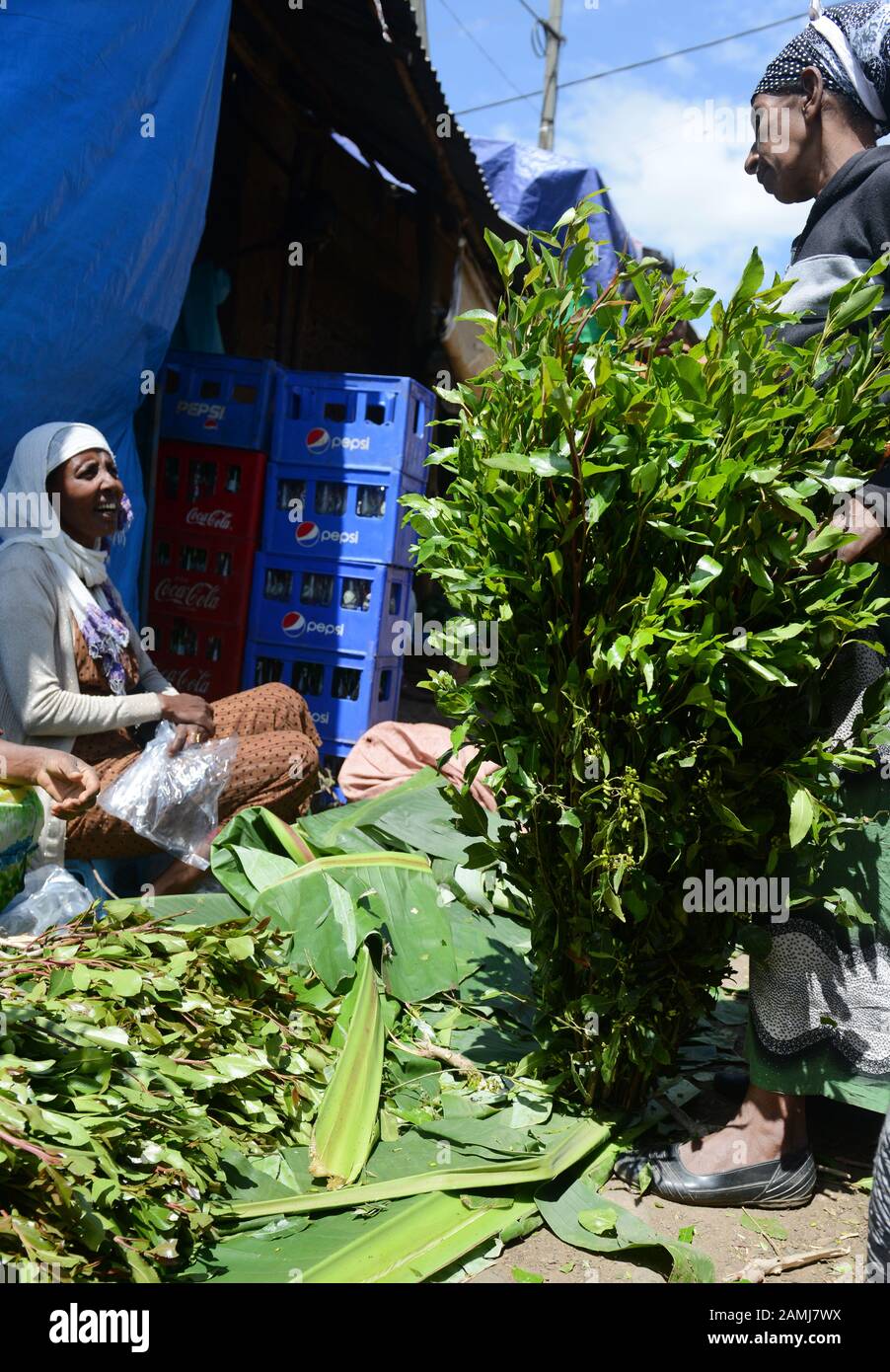 Marché de khat dans Woliso, Éthiopie. Banque D'Images