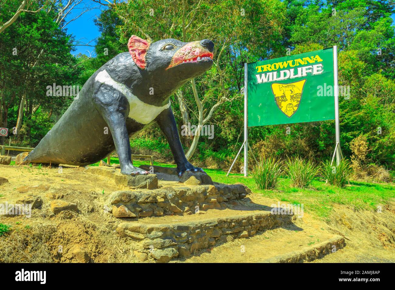 Mole Creek, Tasmanie, Australie - 12 janvier 2015 : grande statue de diable de Tasmanie à l'entrée du Trowunna Wildlife Sanctuary, un leader mondial Banque D'Images